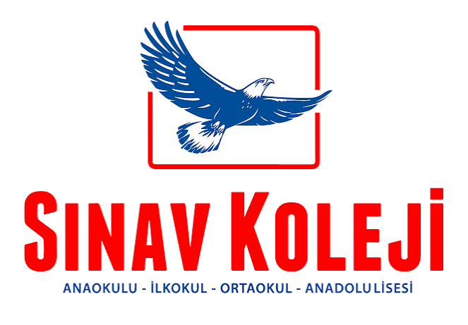 İzmir Sinav Egitim Kurumu Logo