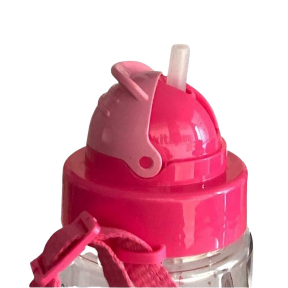 Gıpta Fun Trıian Desenli Pipetli Matara 500ml Pembe