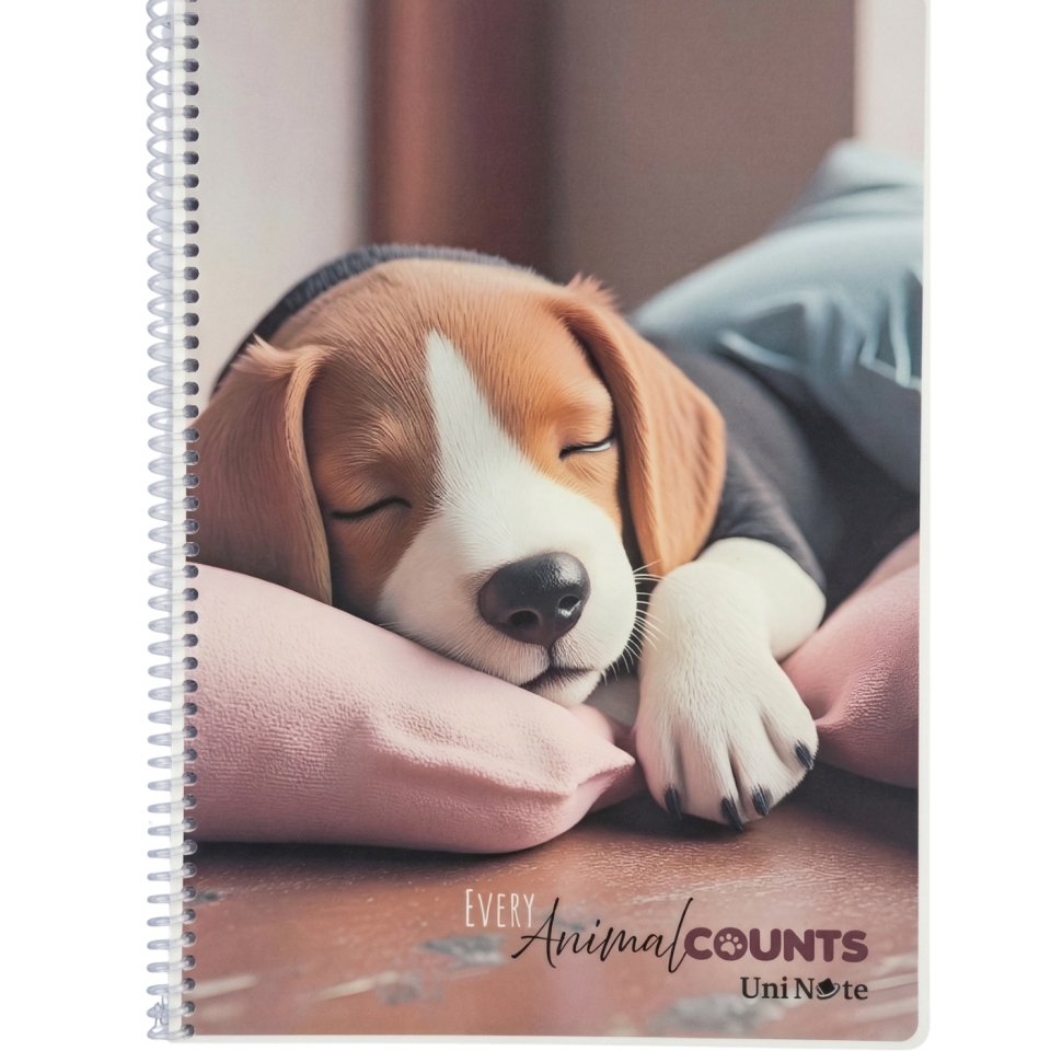 UniNote Animal Spiralli Pp Kapak A4 72 Yp.Kareli Defter 02