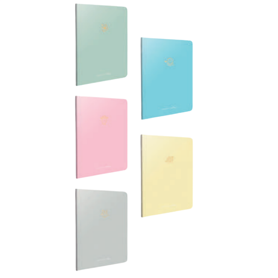 Gıpta 6602 Micro Notes Tel Dks Karton Kapak Çizgili Defter A6 60 Yaprak
