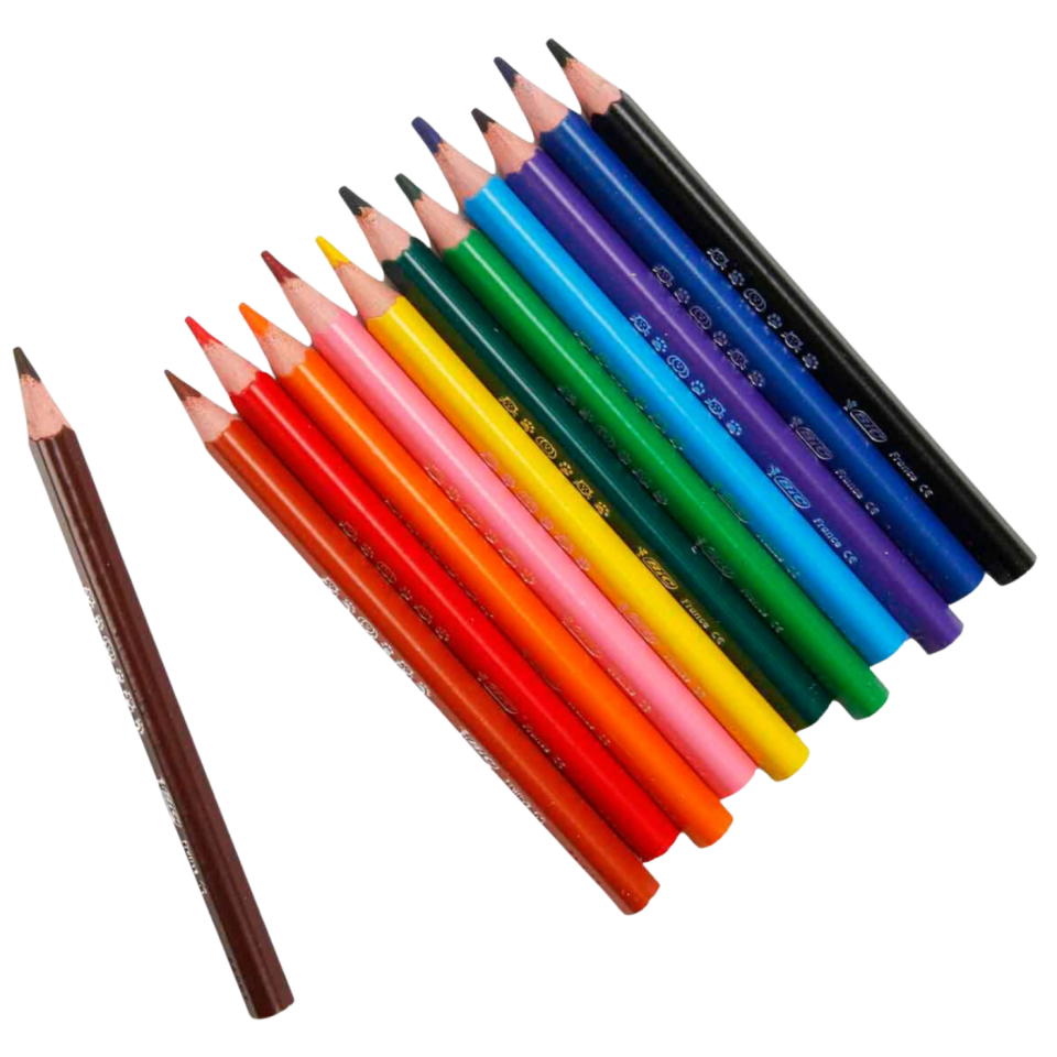 Bic Evolution Üçgen Jumbo Kuruboya Kalemi 12 Renk 8297356