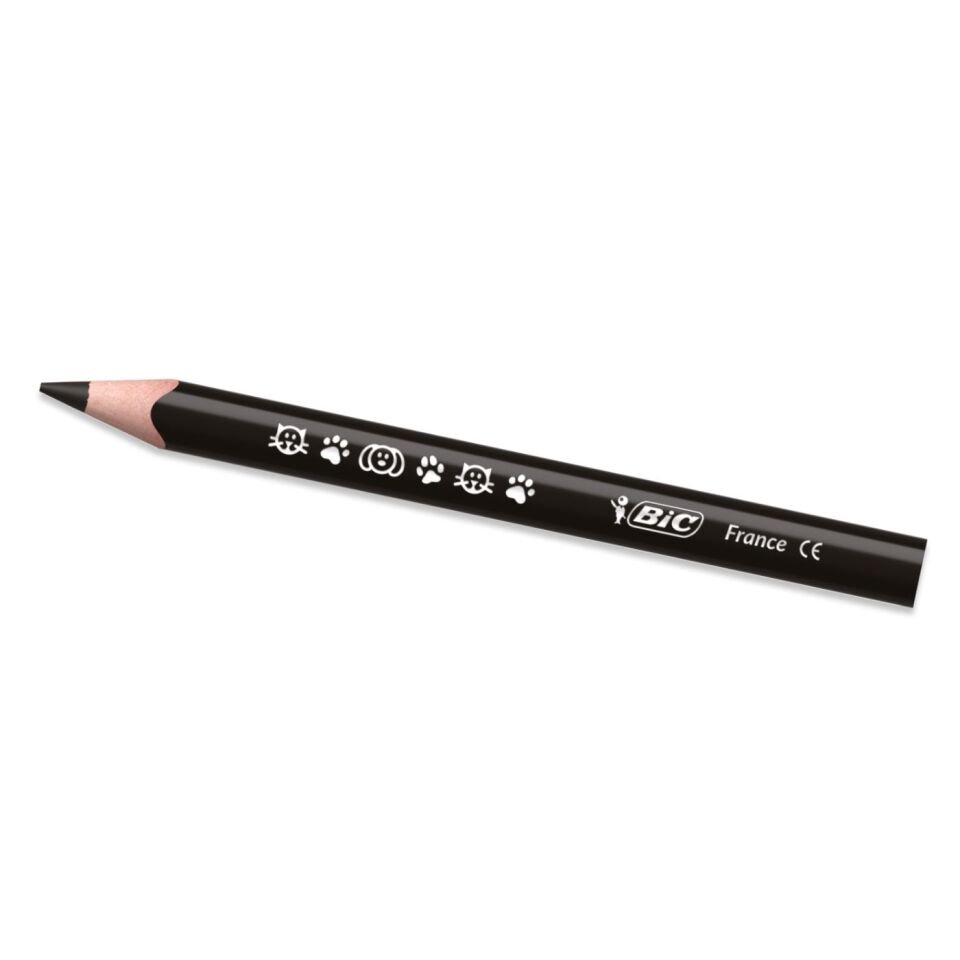 Bic 958192 Evolution Üçgen Jumbo. Kuruboya Kalemi 12+1'li Metal Tüp