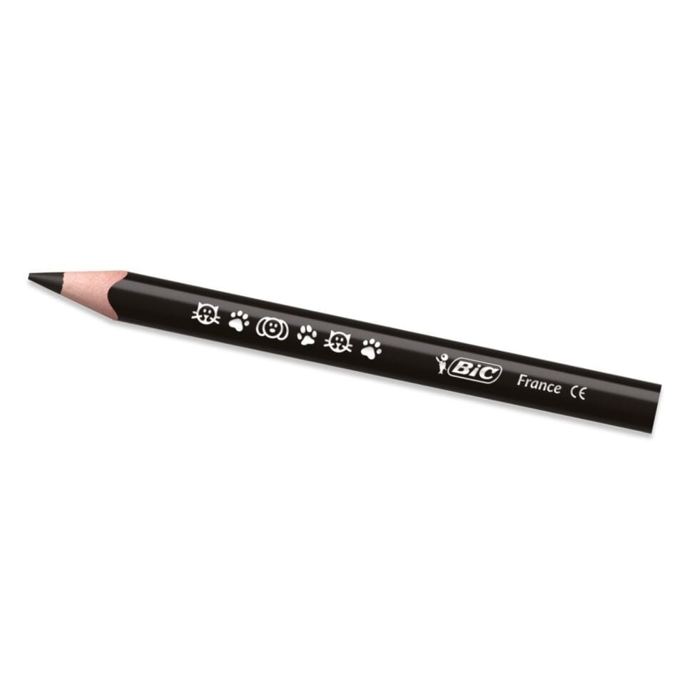 Bic 958192 Evolution Üçgen Jumbo Kuruboya Kalemi 12+1'li Metal Tüp