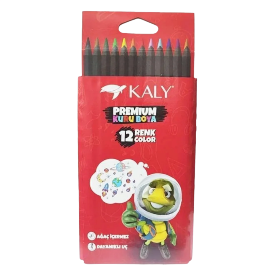 Silka Kaly 612 Kuru Boya 12 Renk