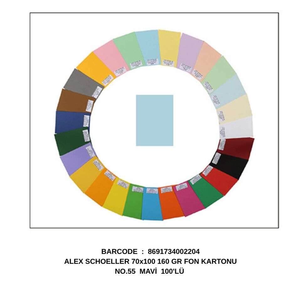 Alex Schoeller 70x100 cm 160 gr Fon Kartonu 100'lü No.55 Mavi