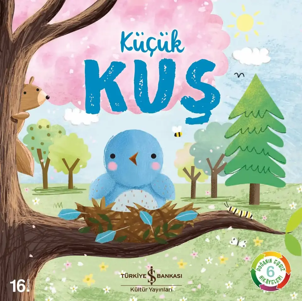 Küçük Kuş - Doğanın Eşsiz Hikâyeleri 6