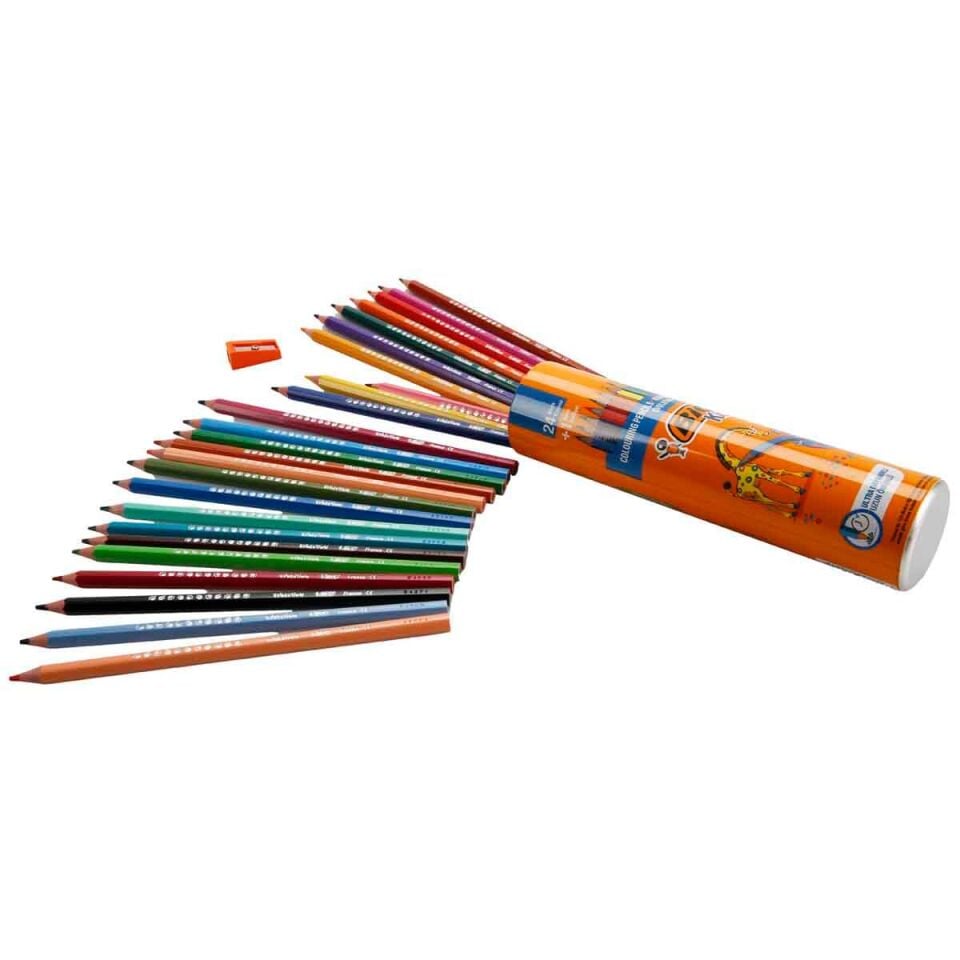 Bic Evolutıon Kuruboya Kalemi 24+1'li Metal Tüp