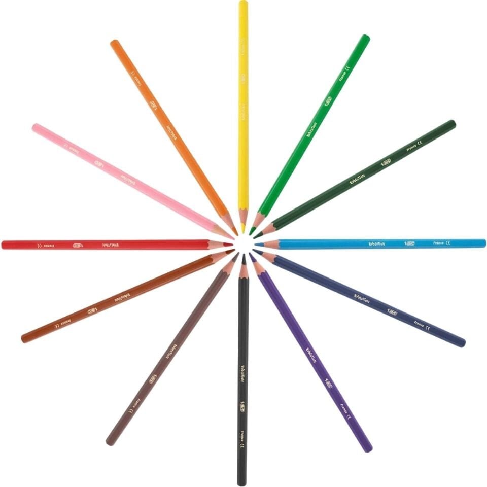 Bic Evolution Kuruboya Kalemi 36'lı Metal Tüp