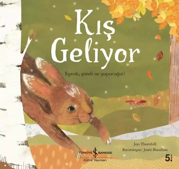 Kış Geliyor