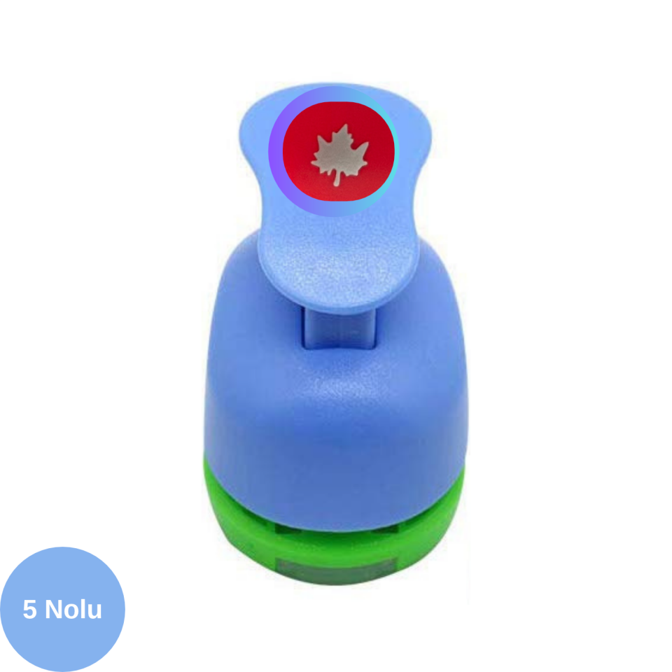 5 Nolu